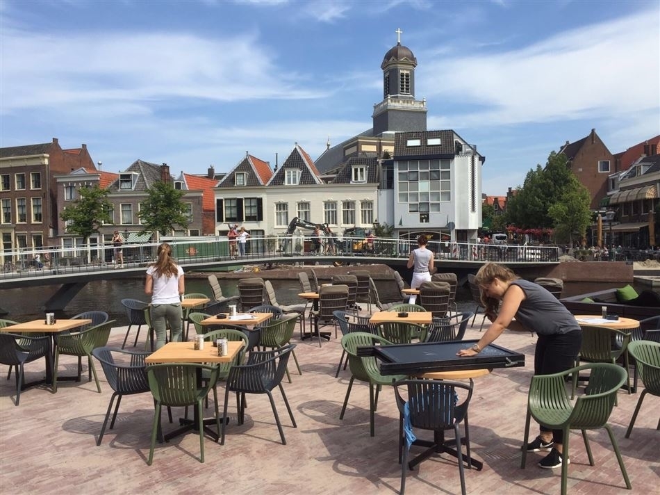 Terras
