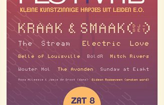 Amuse-Festival-Nwpltz-poster