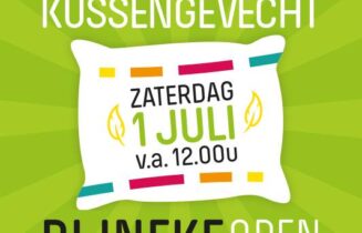Kussengevecht