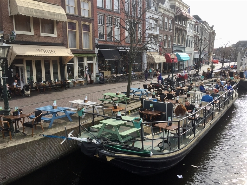 Terras