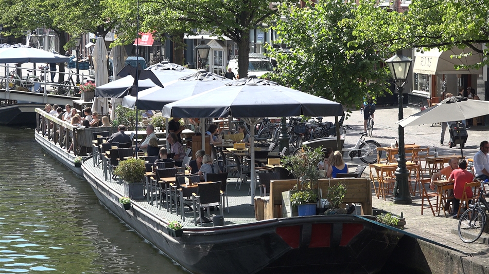 Terras