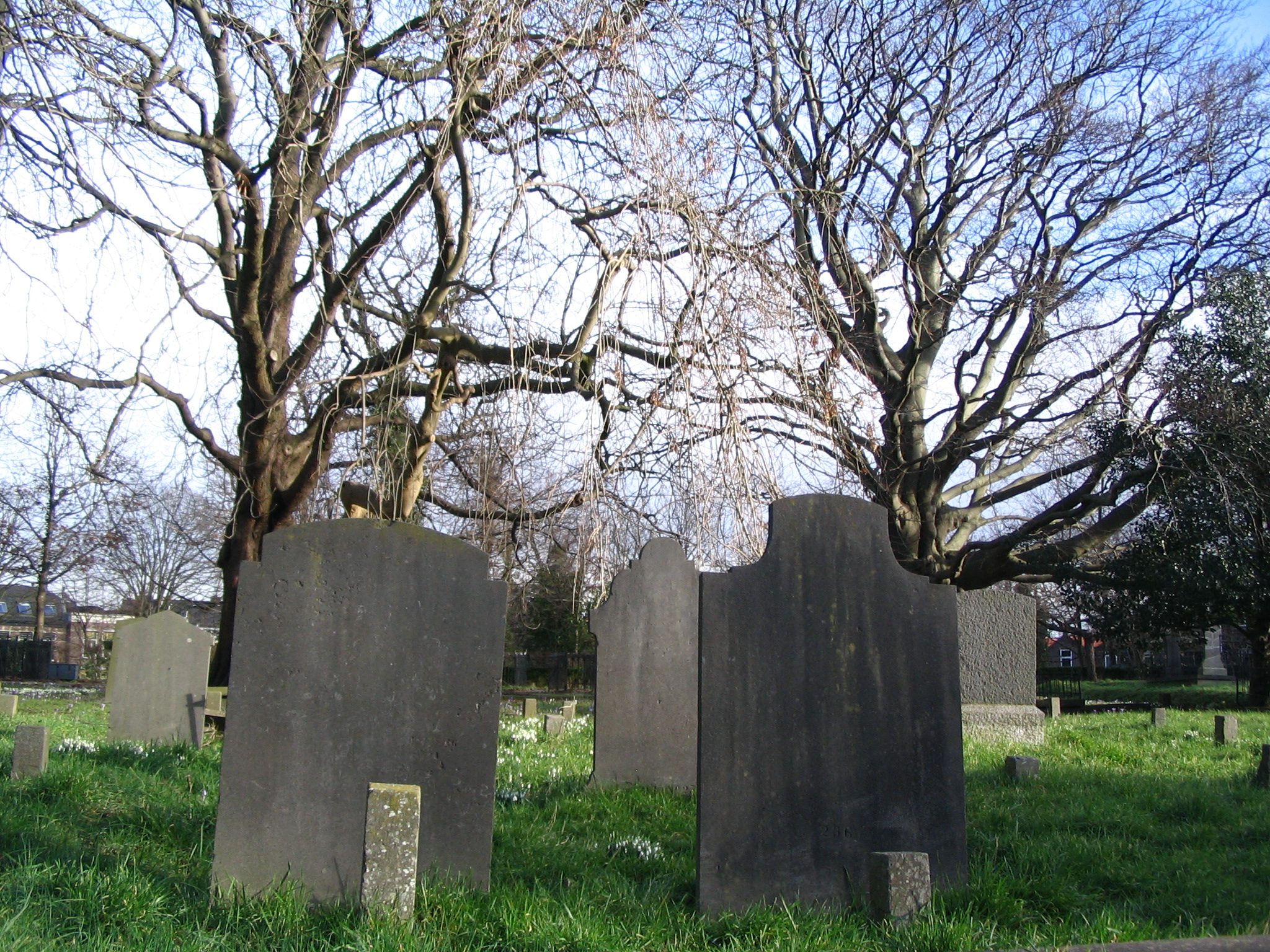 Begraafplaats_Groenesteeg_te_Leiden