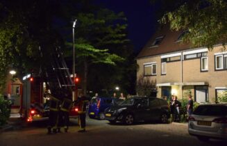 Brand in dakgoot zorgt voor ophef, Goudkarper in Leiden