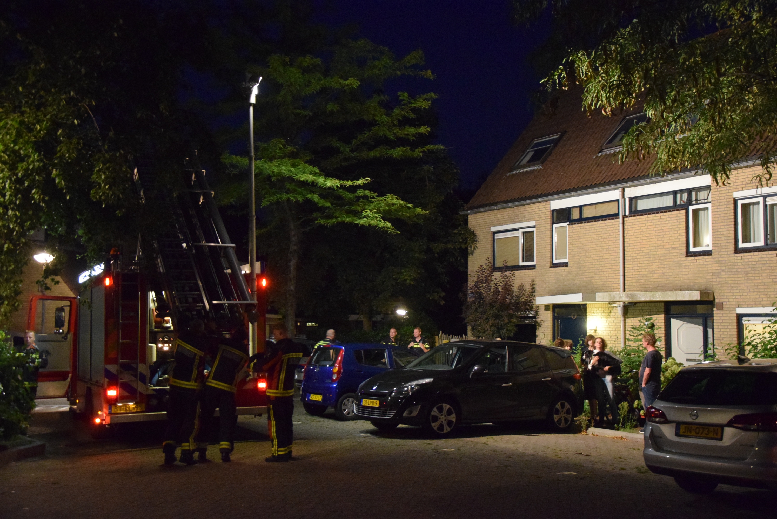 Brand in dakgoot zorgt voor ophef, Goudkarper in Leiden