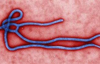 ebola