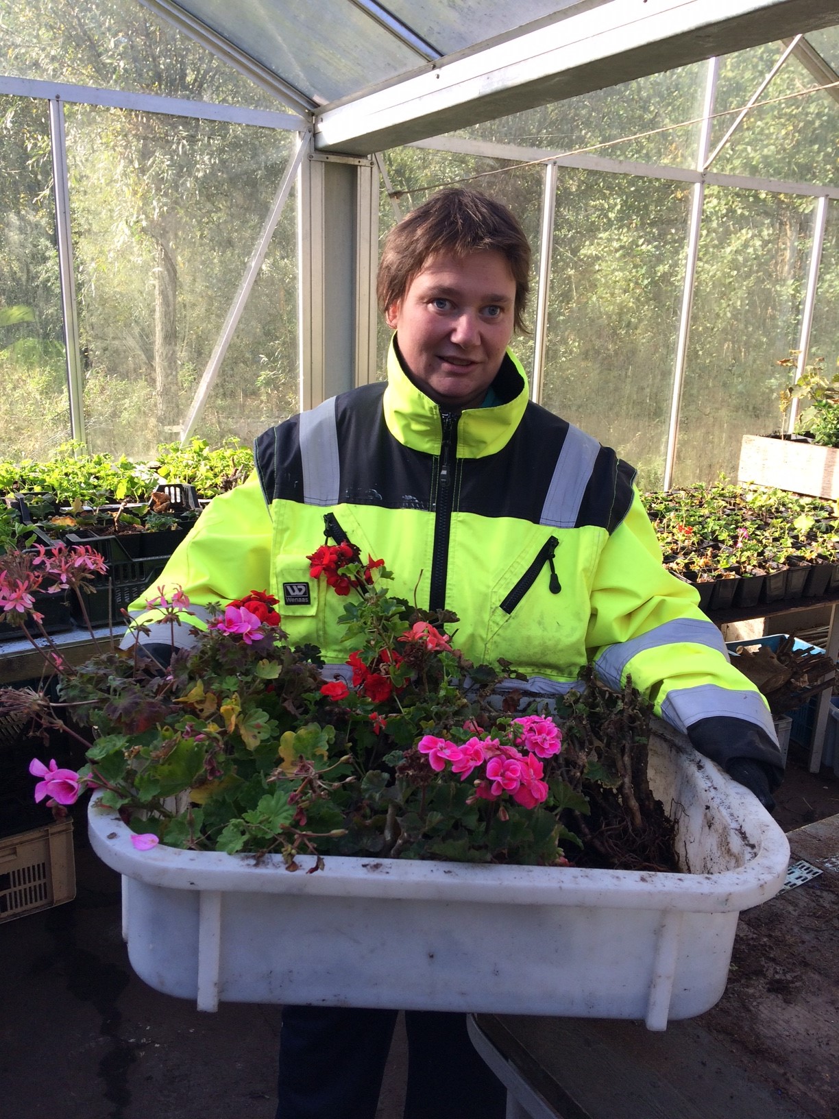 Evelien met geraniums