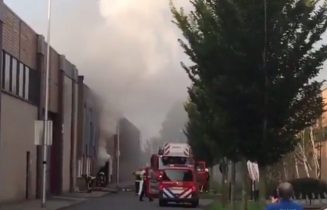 brand wmd