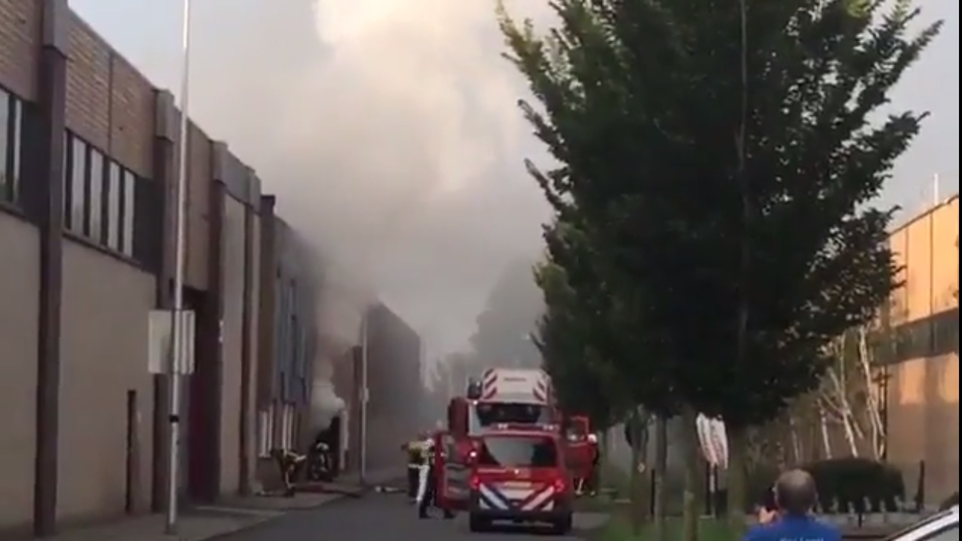 brand wmd