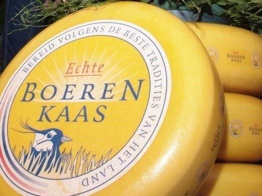kaas