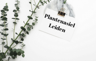 plantasiel