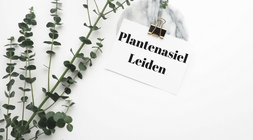 plantasiel