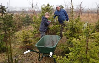 kerstboom