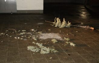 Kerstboom op schoolplein in brand gestoken, Marjoleintuin in Leiderdorp