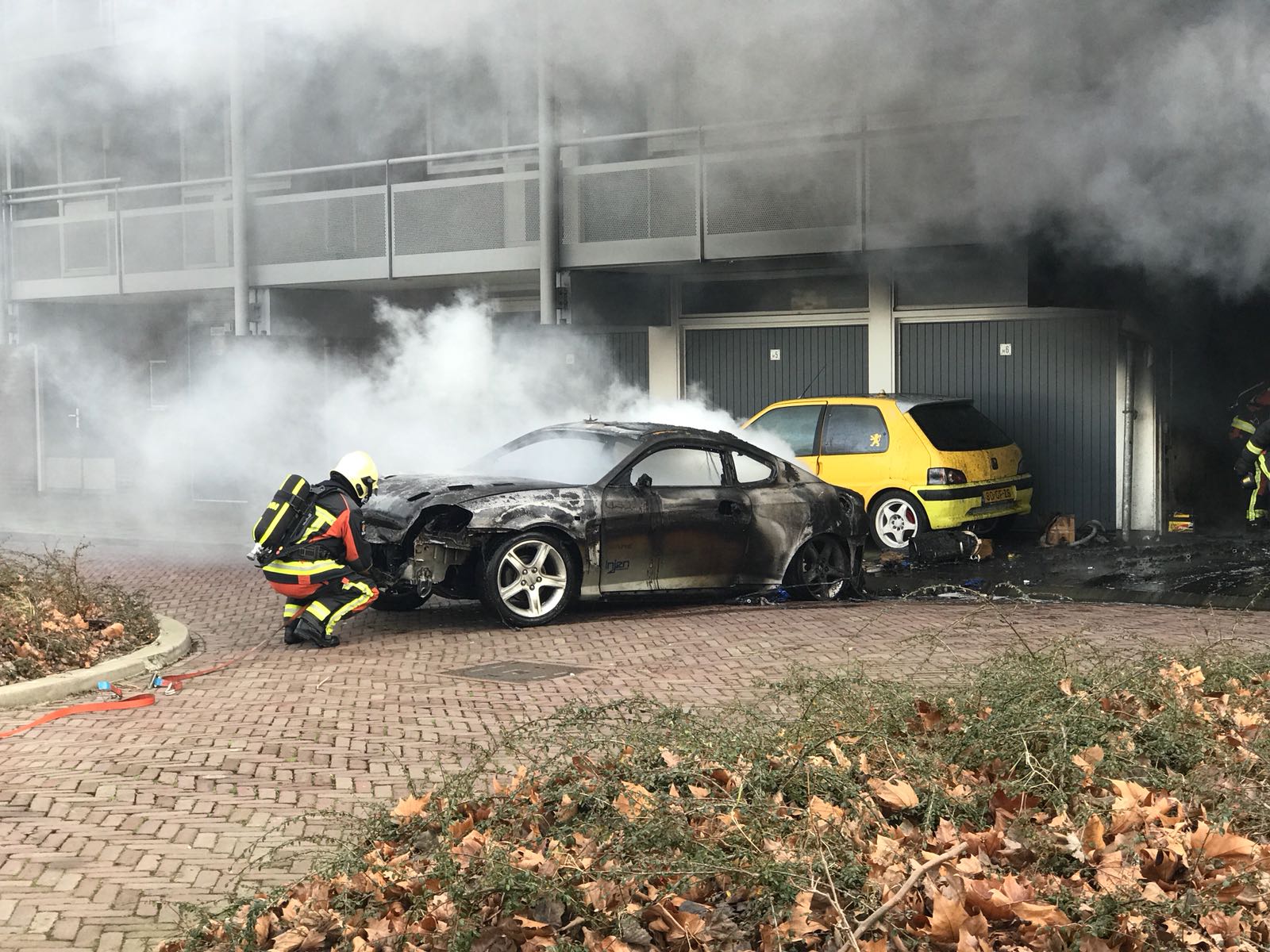 auto 1