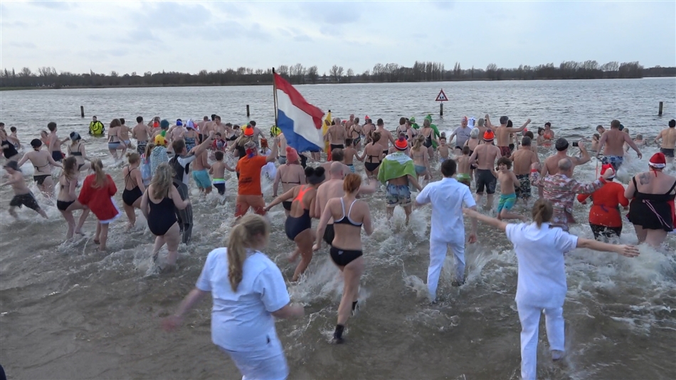 nj duik