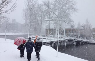 sneeuw pik