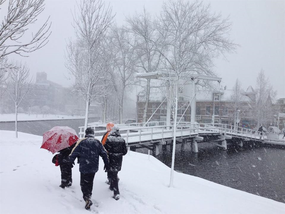 sneeuw pik