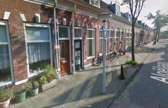 plantdag