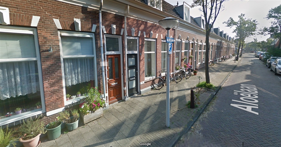 plantdag