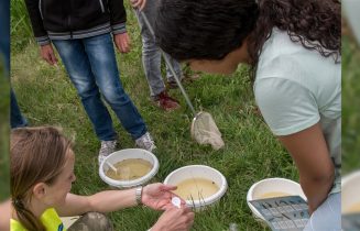 natuur