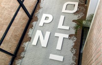 plant
