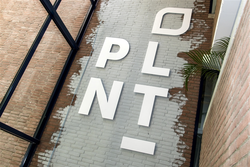 plant