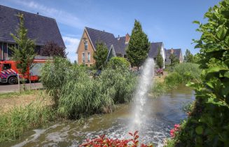 26 dode watervogels door verontreinigd slootwater, buurtbewoners zijn boos, Martinus Houttuynhof in Oegstgeest