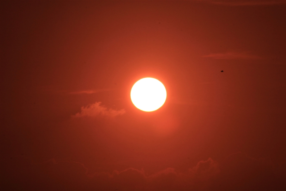 CA436691EBF460049108741D9EAA882F_950_0
