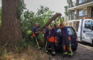 Tak valt op dak auto, Castellumweg in Leiden
