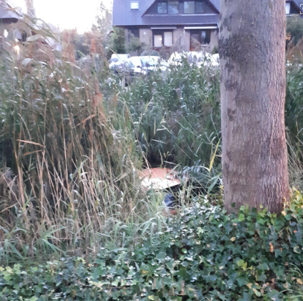 auto in het water voorschoten