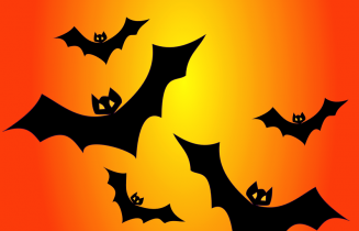 bats-151206_960_720