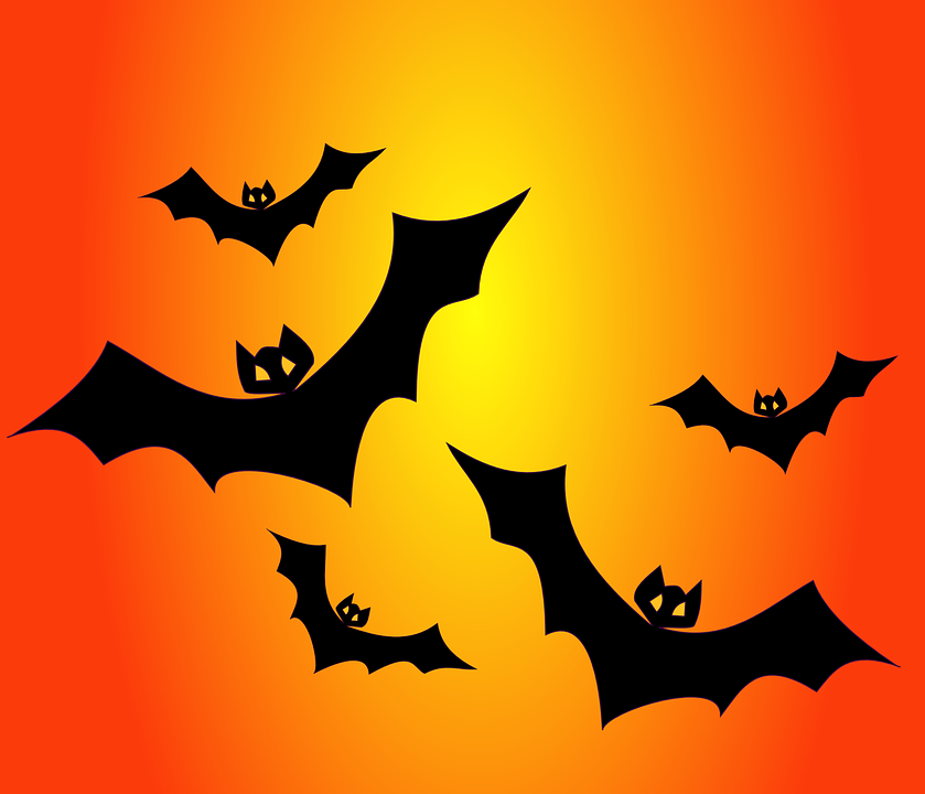 bats-151206_960_720