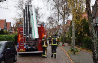 Brandweer verwijderd losse tak uit boom, Nassaulaan in Oegstgeest