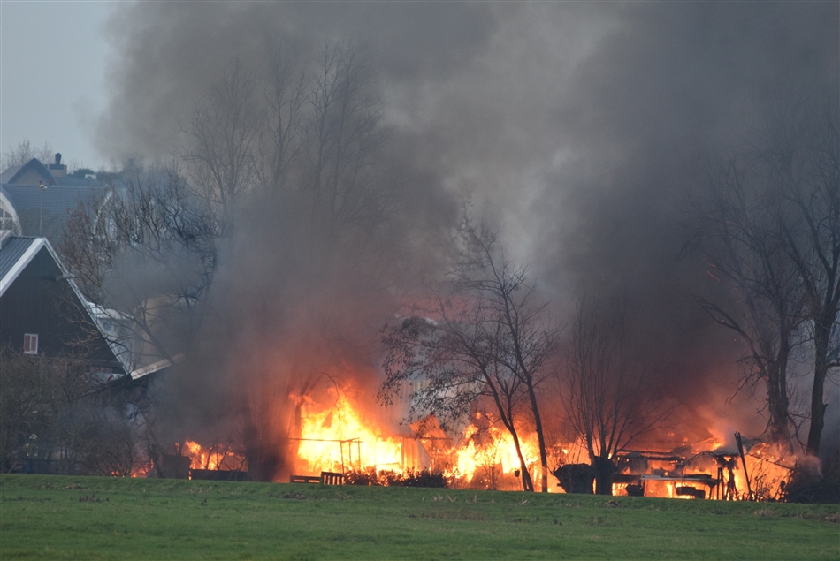 brand