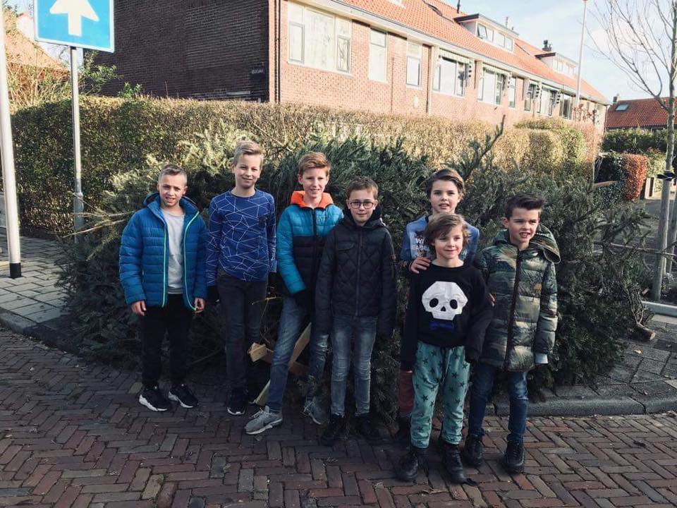 bomen1234