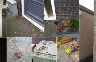 vandaal