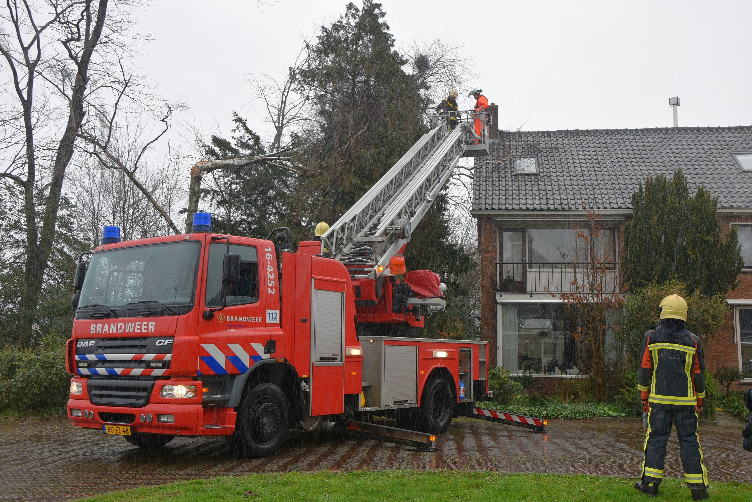 Boom omgewaaid door storm, Bernhardstraat in Leiderdorp