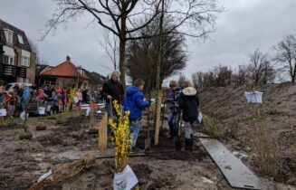 Nationale Boomfeestdag