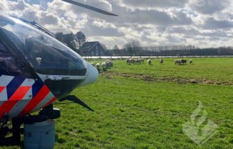 Poli Heli