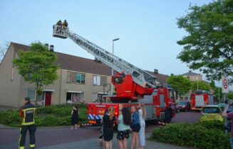 Brandweer haalt kat van dak, Buitendijklaan in Leiderdorp