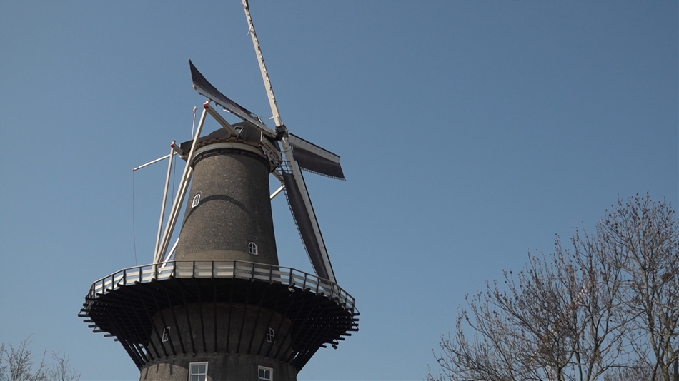 MOLEN
