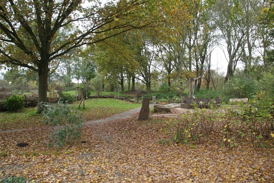 natuur