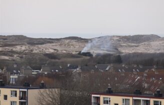 natuurbrand
