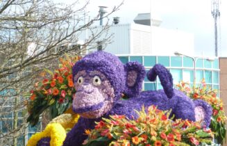 purple monkey
