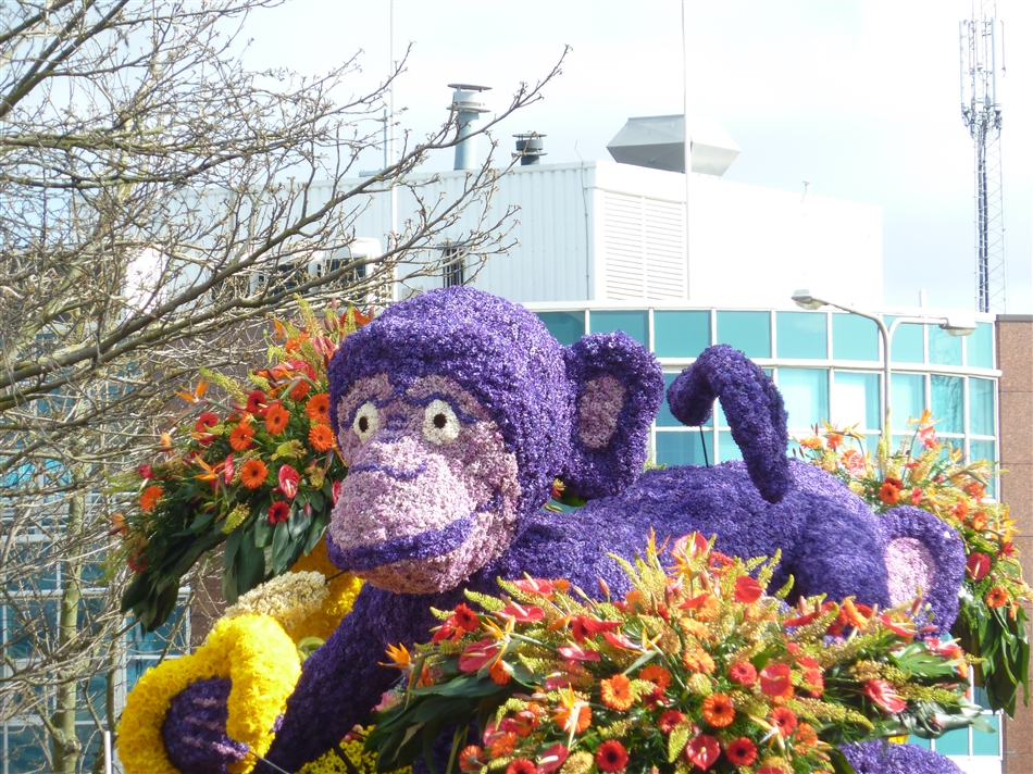 purple monkey