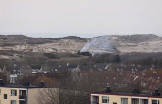 BRAND