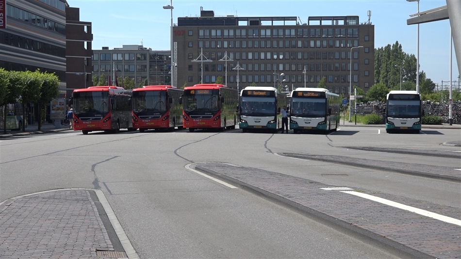BUS