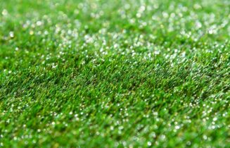 ]GRAS