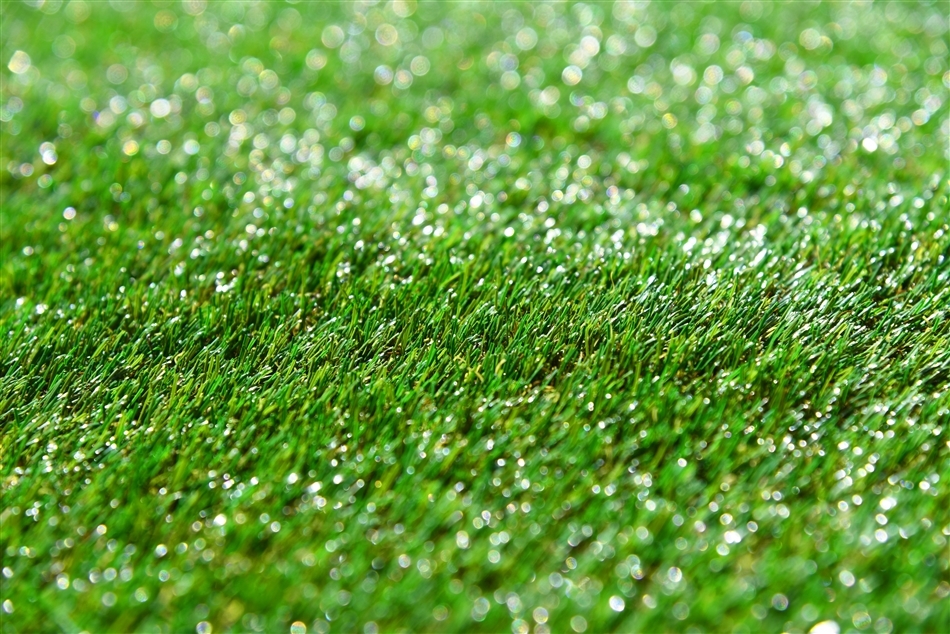 ]GRAS