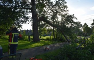 Grote tak blokeert loopbrug, Chopinlaan in Voorschoten